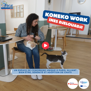 KONEKO WORK : Le coworking unique à Paris qui allie bien-être, sérénité, et adoption de chats.